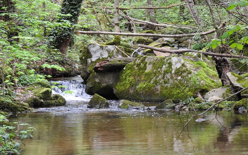 DiNature ruisseau Choisine 07410